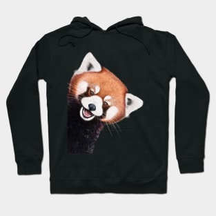 Red panda Hoodie